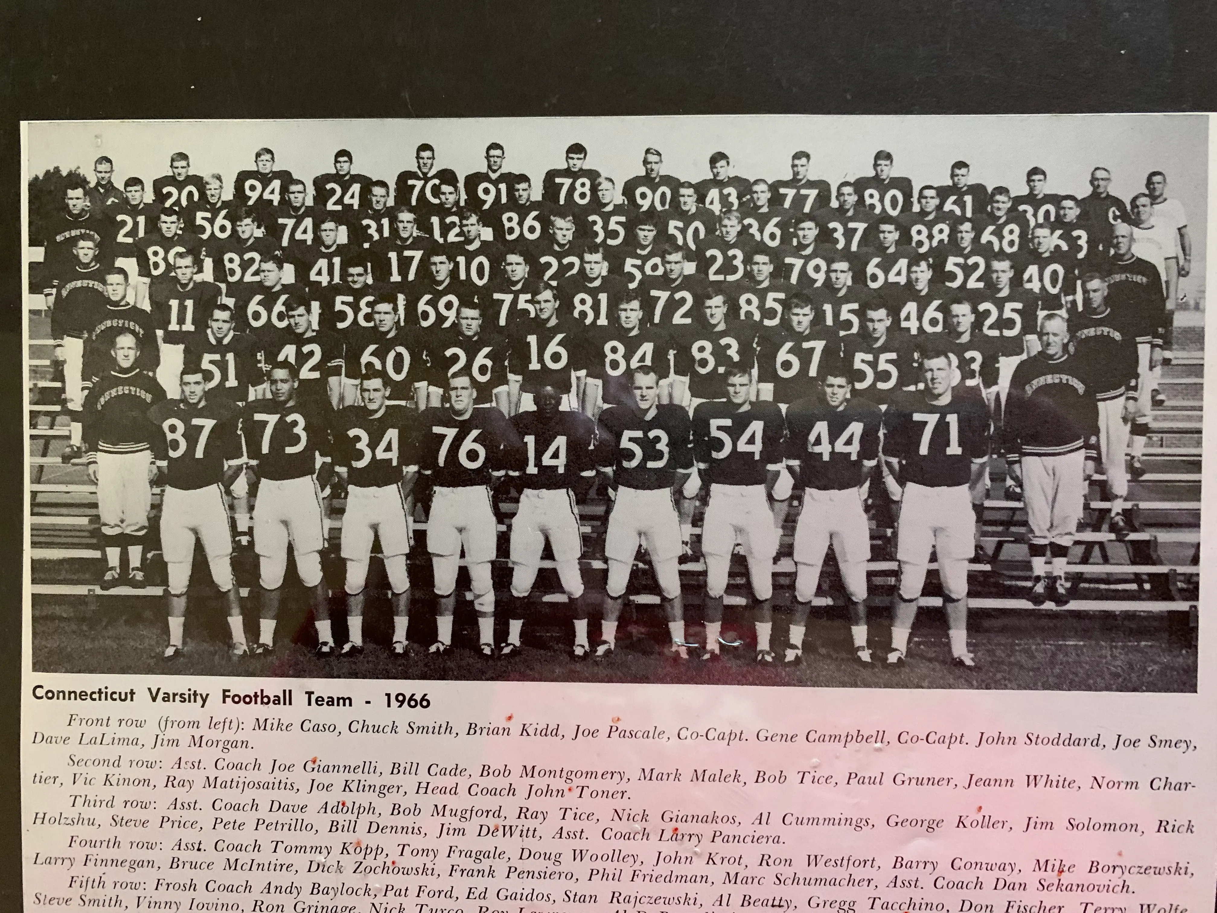 Team1966